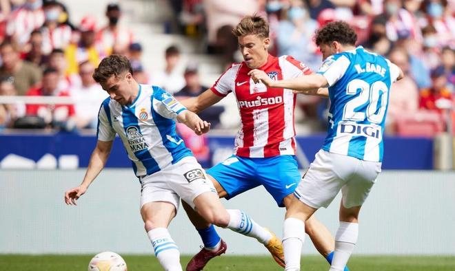 的不懈关注 的不懈关注